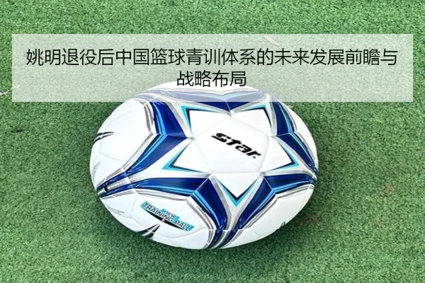 姚明退役后中国篮球青训体系的未来发展前瞻与战略布局